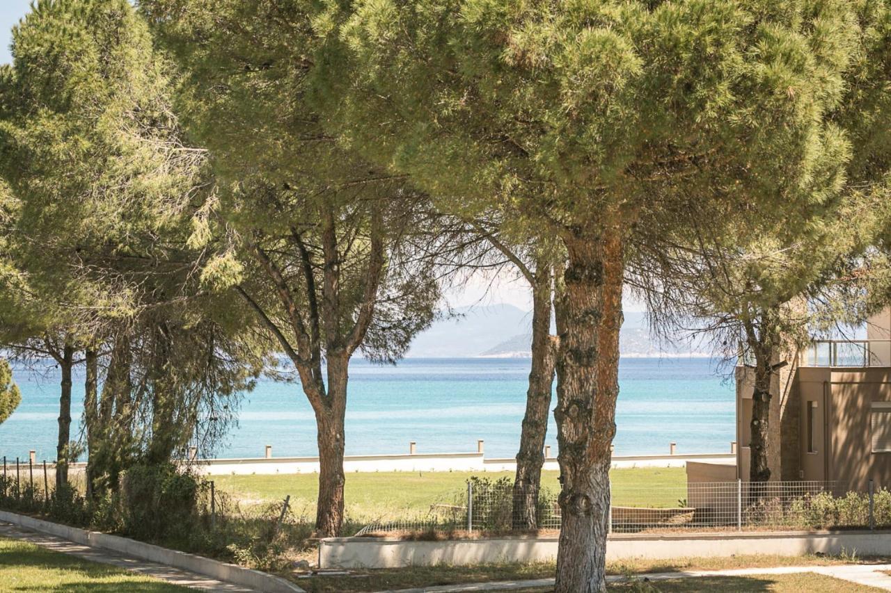 #Flh - Amalthia & Αthena Beachfront Houses In Pefkohori 外观 照片